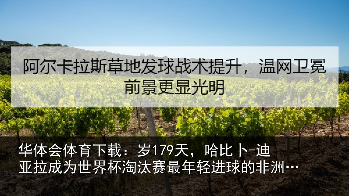 华体会体育下载:岁179天,哈比卜-迪亚拉成为世界杯淘汰赛最年相关情况