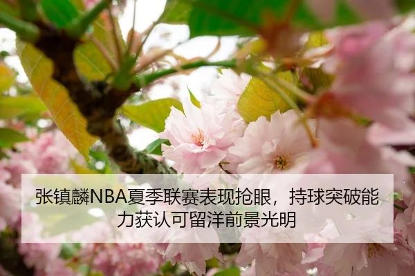 张镇麟NBA夏季联赛表现抢眼，持球突破能力获认可留洋前景光明