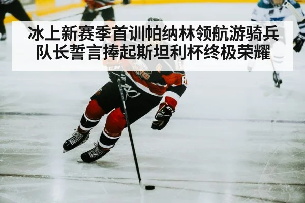 hockey player skating